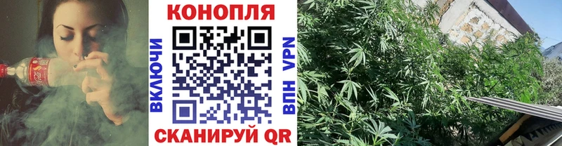 Шишки марихуана White Widow  где продают наркотики  Остров 